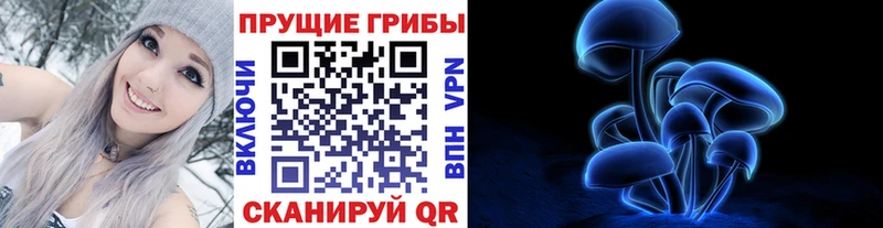 Псилоцибиновые грибы GOLDEN TEACHER  Суджа 
